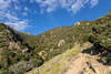 Up the canyon towards Olancha Pass