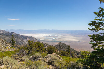 The last glimpse of the desert floor.