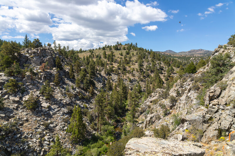 The canyon carved by the South Fork Kern River