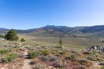 Approaching the South Fork Kern River.