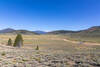 Monache Meadow and the South Fork Kern River.