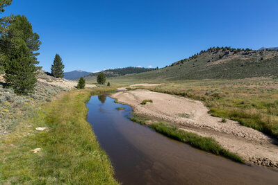 View west from the footbridge across the South Fork Kern River.