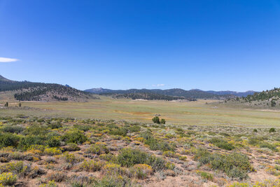 Vast Monache Meadow