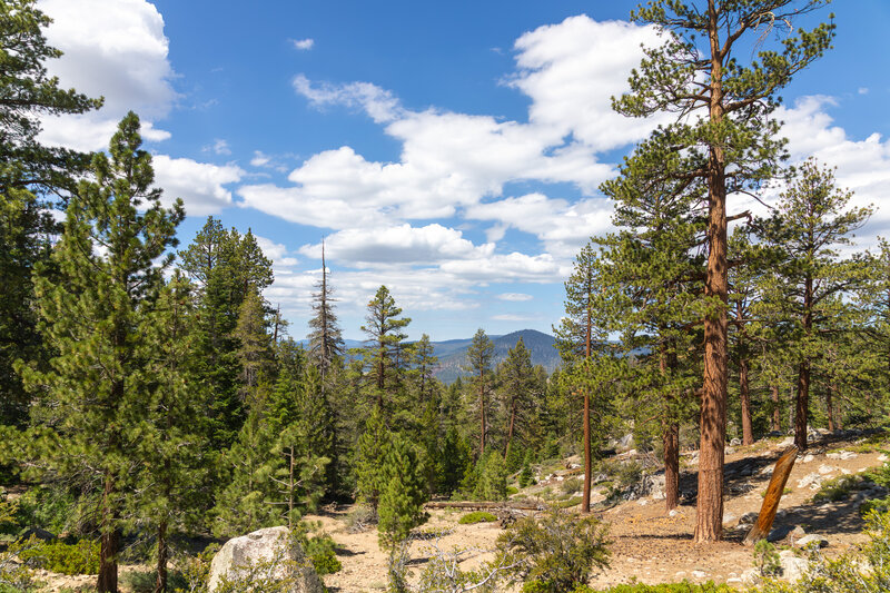 Upper Cow Canyon views.