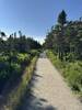 Beginning of Skyline Trail