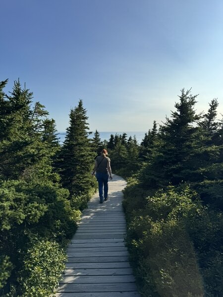 Beginning of boardwalk at Skyline Trail