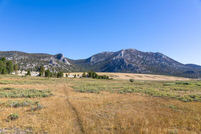 Looking back at Trail Peak from Mulkey Meadows.
