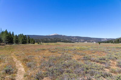 Ramshaw Meadows with Kern Peak in the distance.