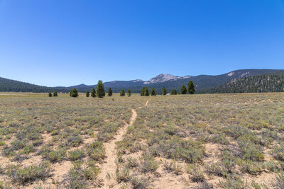 Hiking across Templeton Meadows with Kern Peak in the distance.