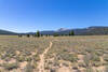 Hiking across Templeton Meadows with Kern Peak in the distance.