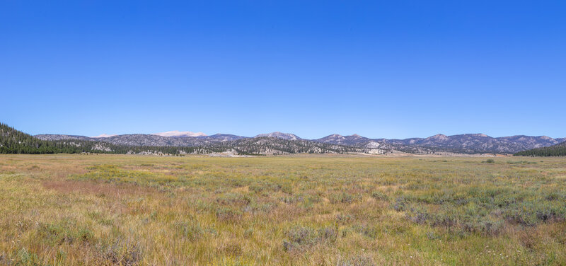 Panoramic view north across Templeton Meadows towards the granite Sierra Nevada crest.