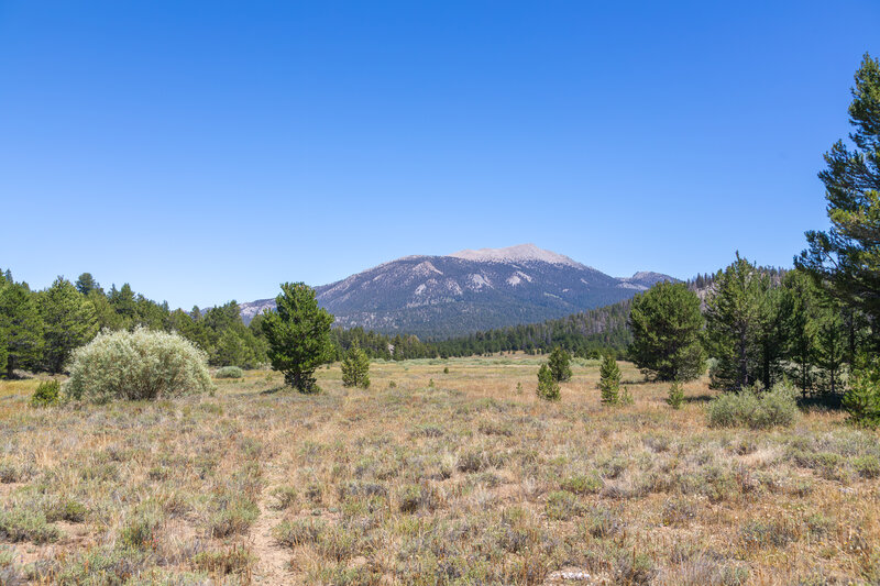 Entering Fat Cow Meadow with Olancha Peak prominently ahead.