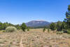 Entering Fat Cow Meadow with Olancha Peak prominently ahead.