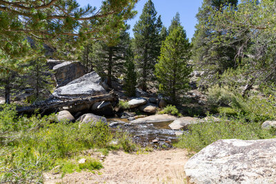 Looking back the the South Fork Kern River crossing.