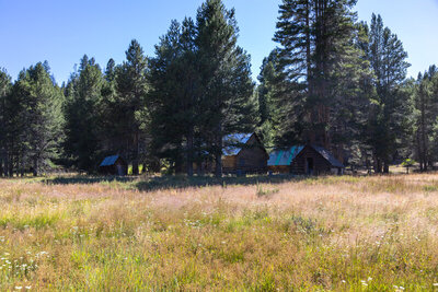 Brown Cow Camp