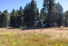 Brown Cow Camp