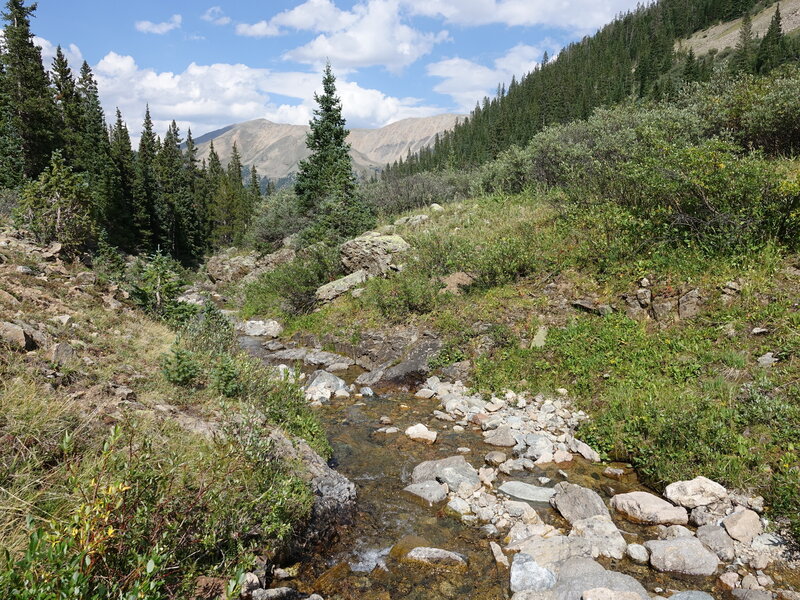 Close to the and of the marked trail.