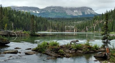 A scenic, calm spot along Monkman Creek, taken along the Moore Falls/Cascades Camp Connector.