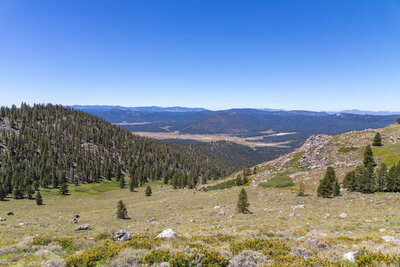Brush Meadow views towards Monache Meadow.