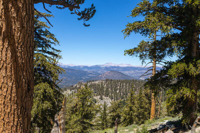 The barren High Sierra crest around Mount Langley in the distance.