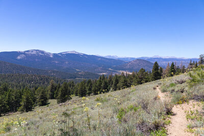 Kern Peak and Templeton Mountain in the distance.