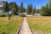 The boardwalk across Gomez Meadow