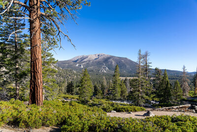 Olancha Peak from the ascent north of Death Canyon.