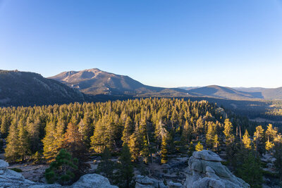 Olancha Peak looming in the distance, the slowly rising sun illuminating only a portion of the forest behind the crest.