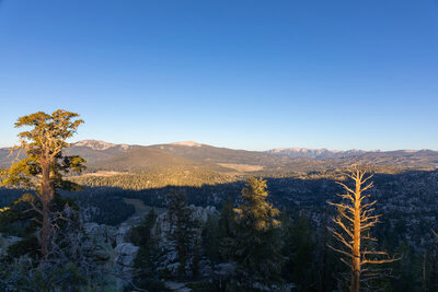 Expansive views across the heart of Golden Trout Wilderness, Templeton Mountain with Strawberry Meadow and Templeton Meadow below.