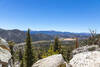 Mulkey Meadow