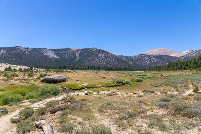 Horseshoe Meadow with Cirque Peak in the distance