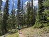 Although there were visible effects of bettle kill, the trail was still very scenic.