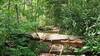 What to expect at the bottom of Deep Gap.
