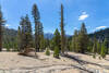 Kern Peak in the distance from Tunnel Cutoff Trail.