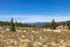 A small meadow along the Pacific Crest Trail with the Great Western Divide in the distance.