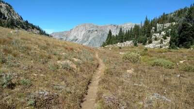 Looking north from the saddle just above Reynolds Creek, the tops of the Reynolds Creek canyon walls, are seen.