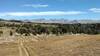 Another great view of the distant "spine" of the Wind River Range. Seen looking east, the tree covered south shoulder of Doubletop Mountain is in the foreground.