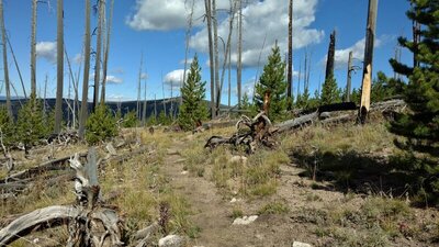The trail seems to drop off the edge at the top of the switchbacks that are not visible just ahead. The switchbacks go down to the New Fork River valley bottom.