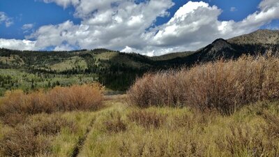The trail travels through the grasses and willows of the New Fork River valley, as it heads to its crossing of the river.