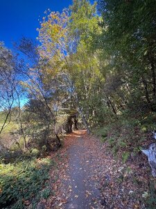 9/19/26 - Autumn on the horseshoe loop.