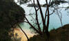 Trail down to West Head beach & looking out to Barrenjoey Headland.
