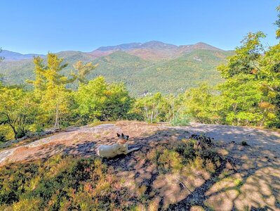 View from top of Mt. Gilligan