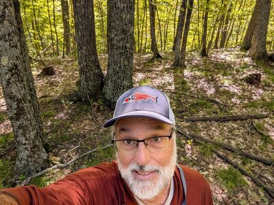 Mt. Gilligan wooded summit