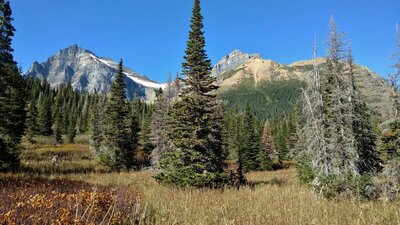Old Sun Glacier (center left) is seen from a small meadow along Helen Lake Trail.