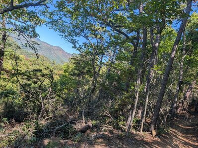 Blue Ridge Pinnacle