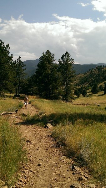 Looking down the Sanitas Valley from the Dakota Ridge Trail